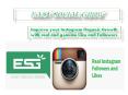Instagram Organic Growth  with real and genuine Like and Followers PowerPoint PPT Presentation