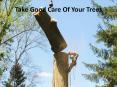 Take Good Care Of Your Trees PowerPoint PPT Presentation