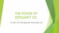 The Power of Bergamot Essential Oil PowerPoint PPT Presentation