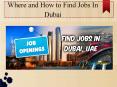 How to find jobs in dubai , UAE PowerPoint PPT Presentation