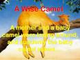 A Wise Camel PowerPoint PPT Presentation