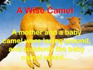 A Wise Camel