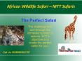 Wildlife Safari in Tanzania | MTT Safaris PowerPoint PPT Presentation