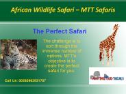 Wildlife Safari in Tanzania | MTT Safaris