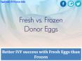 Better IVF success with Fresh Eggs than Frozen Eggs PowerPoint PPT Presentation