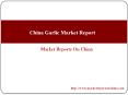 China Garlic Market Report PowerPoint PPT Presentation