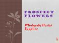 Buy Wholesale Wedding Flowers- Prospect Flwoers