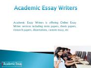 Essay Writing Service