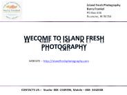 Portrait photographers on maui