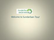 Tourist Attraction of Sundarban National Park