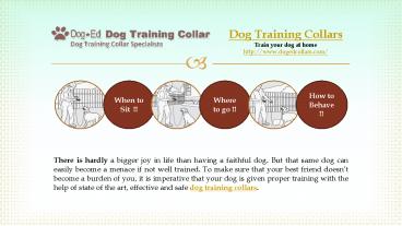 Dog Training Collars - train your dog at home