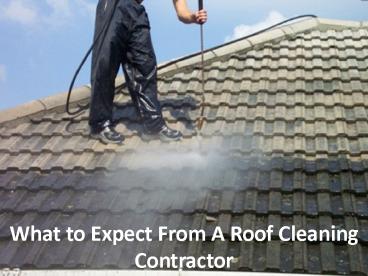 What to Expect From A Roof Cleaning Contractor
