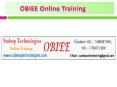 Oracle OBIEE Online Training institutes in hyderabad|usa PowerPoint PPT Presentation