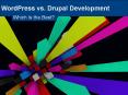 WordPress vs. Drupal Development | Which Is the Best? PowerPoint PPT Presentation