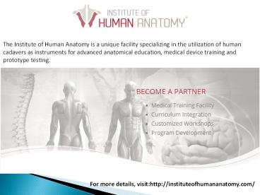 Anatomy of Human Body