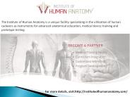 Anatomy of Human Body