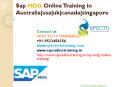 SAP MDG online training | SAP MDG fastrack online training classes-specto PowerPoint PPT Presentation