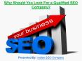 Why Should You Look For a Qualified SEO Company? PowerPoint PPT Presentation