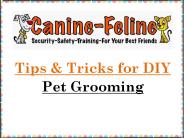 Pet Grooming Tips | Canine-feline.com