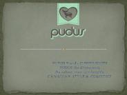 PUDUS Brand