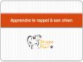 Apprendre le rappel à son chien PowerPoint PPT Presentation