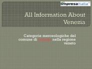All Information About Venezia