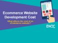 What affects the cost of an ecommerce website?