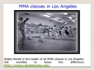Karate classes for kids in Beverly Hills