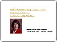 Orange County Business Lawyer