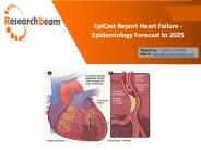Heart Attack Epidemiological Study Research and Analysis