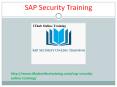 The best SAP Security Online Training | SAP Security Tutorial. PowerPoint PPT Presentation