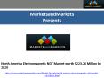 Future trends of North America Electromagnetic NDT Market PowerPoint PPT Presentation