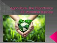 Agriculture- Importance Of Myanmar Business