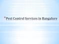 Pest control services in Bangalore PowerPoint PPT Presentation