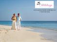 Effectively Organizing a Simple Destination Wedding in the Cayman Islands PowerPoint PPT Presentation