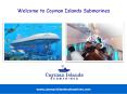 How to Experience the Best of the Underwater World around Cayman Islands PowerPoint PPT Presentation