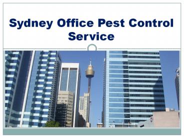 Sydney Office Pest Control Service