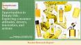 Opportunities in Beauty Oils ; Exploring consumer attitudes, drivers, innovation, and actions PowerPoint PPT Presentation