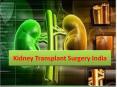 Kidney transplant in delhi PowerPoint PPT Presentation
