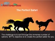 Tanzania Safari Tours