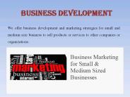 Business Development
