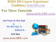 BSHS 385 Slingshot Academy / bshs385.com PowerPoint PPT Presentation