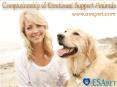 Companionship Of Emotional Support Animals PowerPoint PPT Presentation