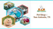 Pet Shop San Antonio, TX