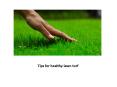 Tips for healthy lawn turf PowerPoint PPT Presentation