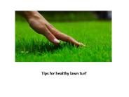 Tips for healthy lawn turf