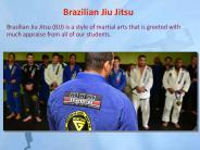 Brajilian Jiu Jitsu Classes