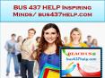 BUS 437 HELP Real Success / bus437help.com PowerPoint PPT Presentation