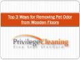 Top 3 Ways for Removing Pet Odor from Wooden Floors PowerPoint PPT Presentation