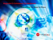 Magneto E-Commerce Development: Everything You Need to Know